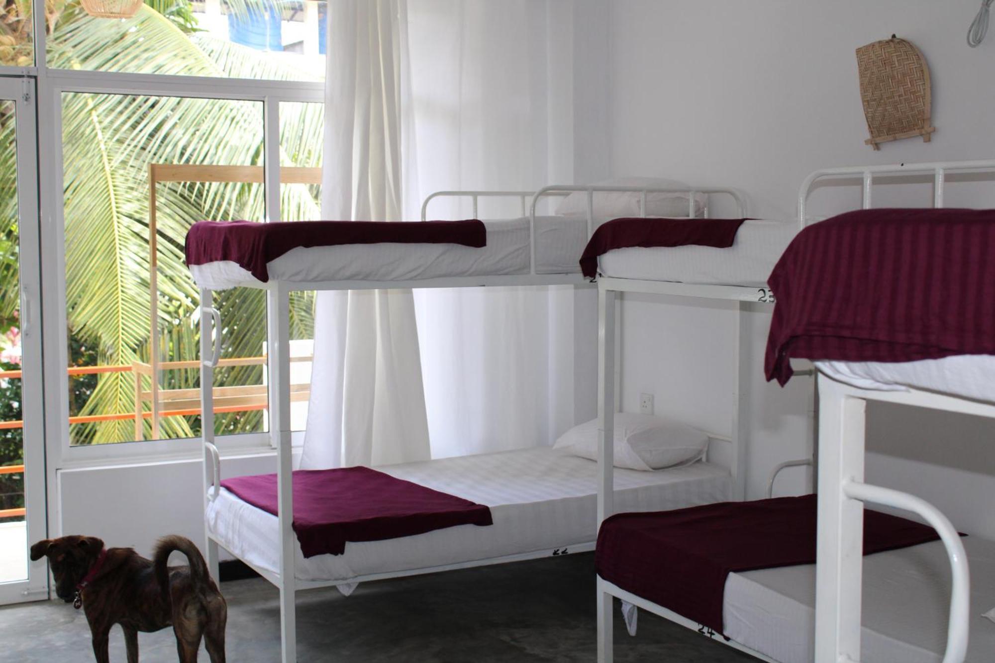 Sun & Moon Hostel Mirissa Luaran gambar