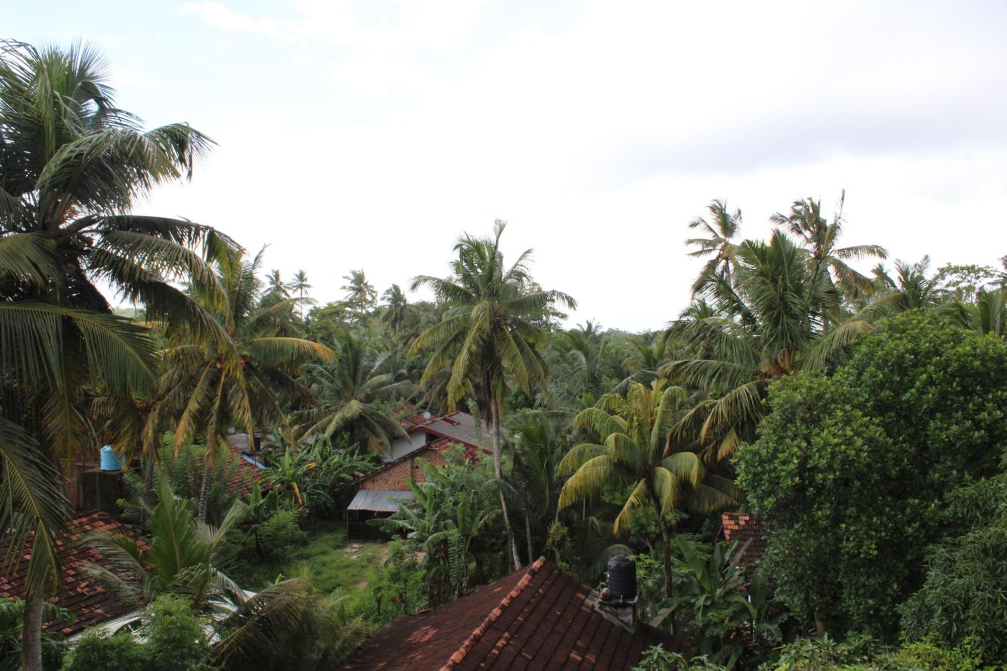 Sun & Moon Hostel Mirissa Luaran gambar